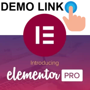 Elementor PRO WordPress Page Builder + Pro Templates
