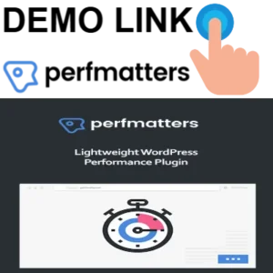 Perfmatters WordPress Plugin
