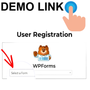 WPForms – User Registration