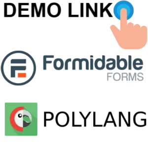Formidable Forms - Polylang Multilingual