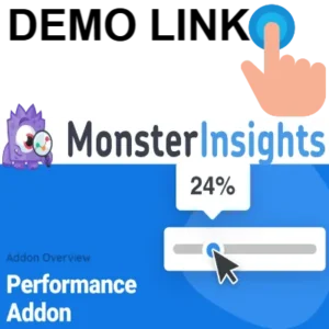 MonsterInsights - Performance Addon