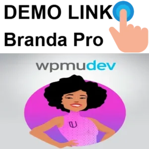 WPMU DEV Ultimate Branding
